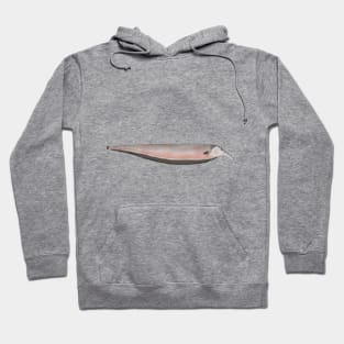 Oxyrhynchus Tube-snouted Ghost Knifefish Hoodie